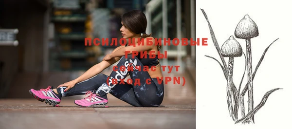 не бодяженный Алзамай