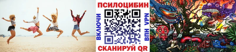 Псилоцибиновые грибы мицелий  Конаково 
